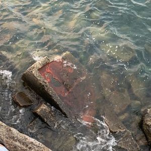 Meet your Posher, Marcela